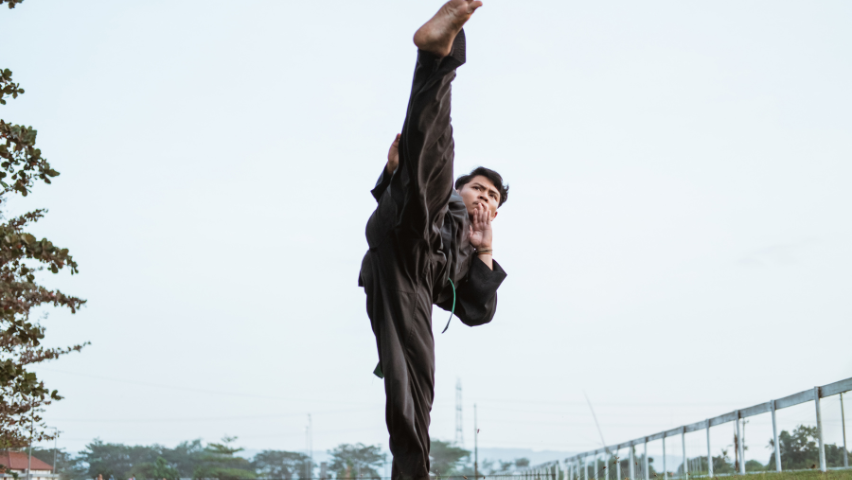 pencak silat
