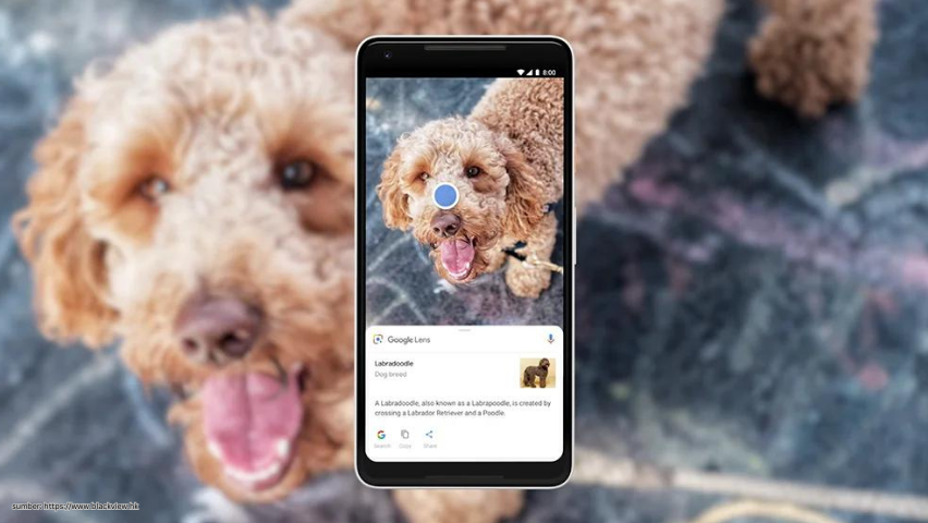 Cara Praktis Menggunakan Teknologi Visual dari Google Lens