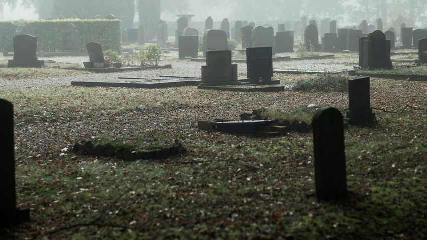 Urutan Baca Doa Ziarah Kubur yang Baik dan Benar