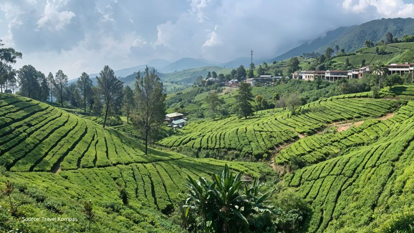 Informasi Harga dan Panduan Tiket Masuk Puncak Sosok