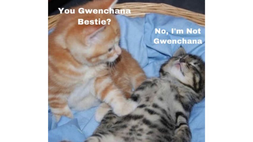 Meme Gwenchana