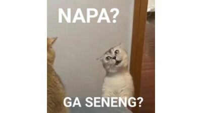 Meme Nyolot