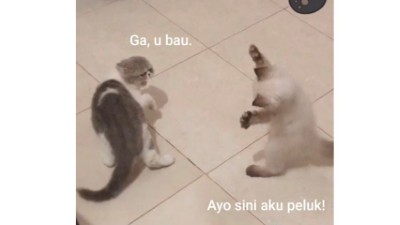 Meme Penolakan