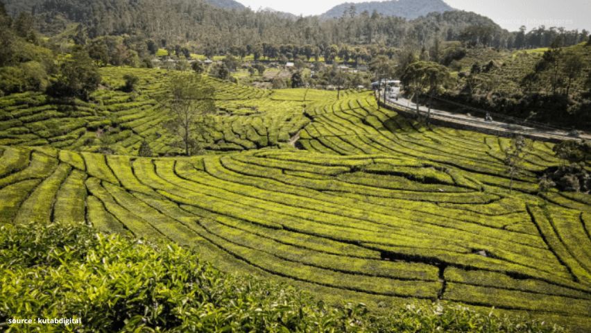 17 Tempat Wisata Ciwidey yang Wajib Masuk Bucket List Liburanmu