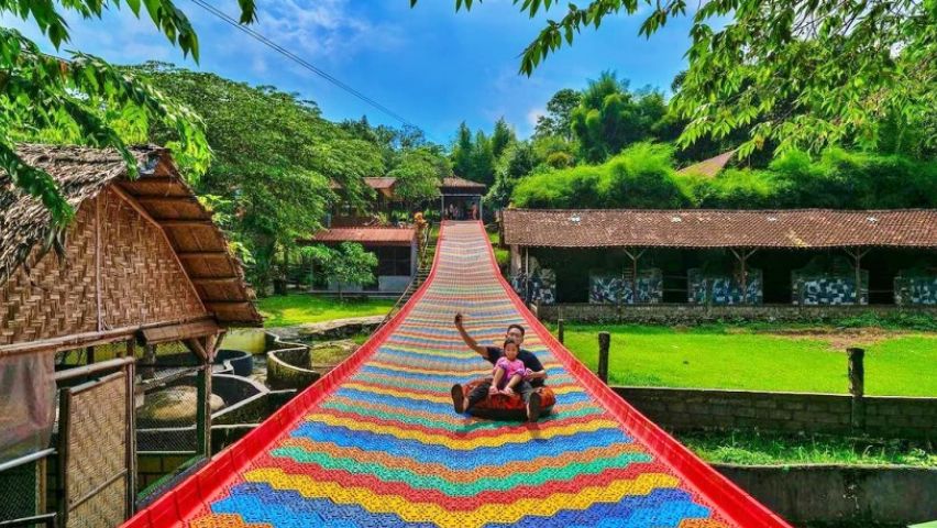 Mini Zoo Jogja Serunya Interaksi Satwa dan Harga Tiket Terbaru