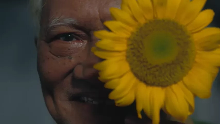 lirik gala bunga matahari