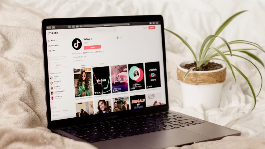 Gift Singa di TikTok Berapa Rupiah Cek Daftar Harganya