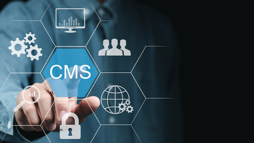 Jenis-Jenis CMS yang Populer, Gimana Cara Kerjanya