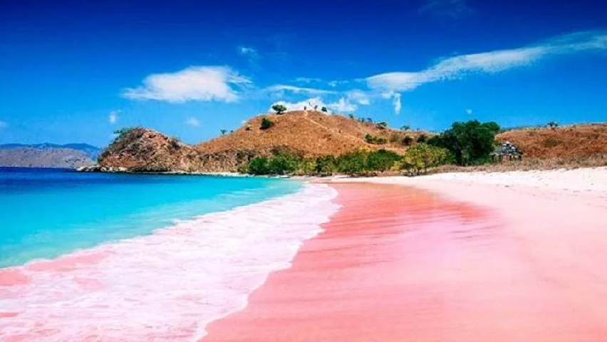 Pantai Pink di Indonesia 3 Surga Tersembunyi yang Bikin Kamu Lupa Bali