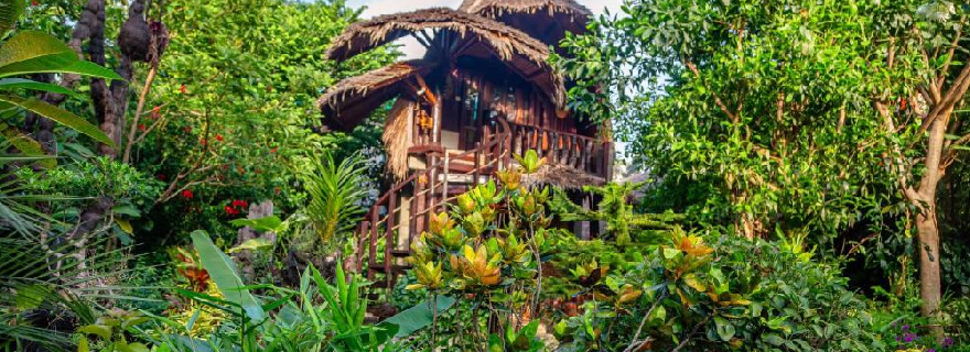 Bukit Lawang: Eco-Adventure Near Medan You Shouldn’t Miss