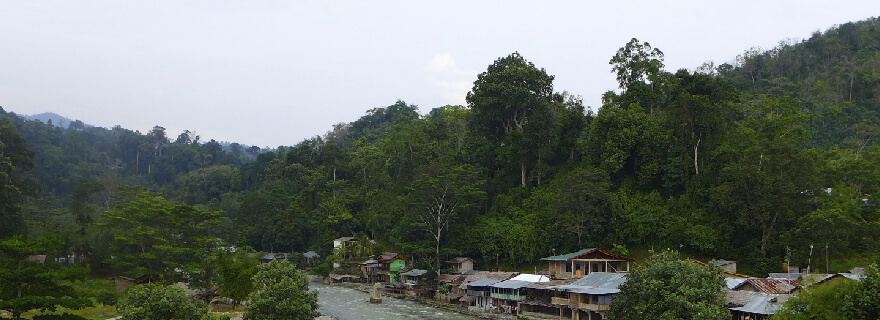 Bukit Lawang Ini Dia Alasan Jadi Incaran Wisatawan Dunia!