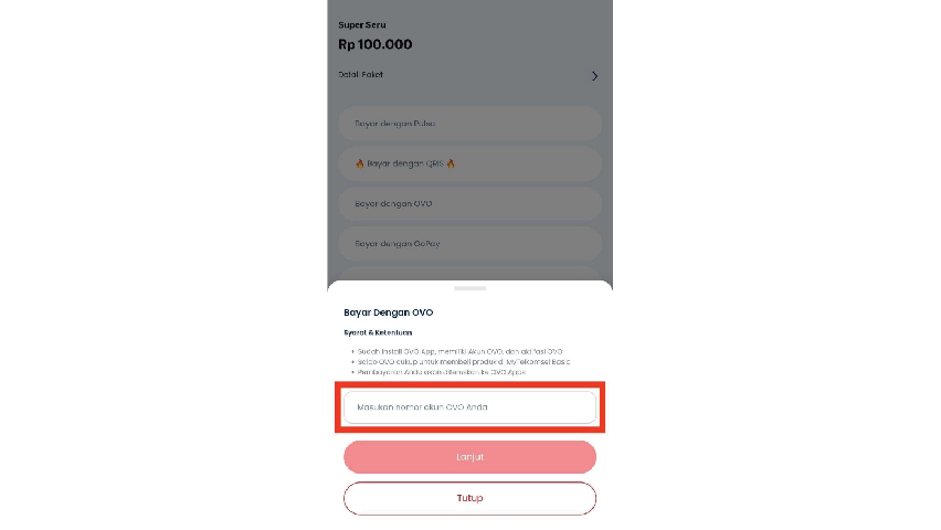 Masukkan nomor OVO yang terdaftar dan pilih Lanjut