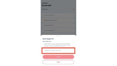 Masukkan nomor OVO yang terdaftar dan pilih Lanjut