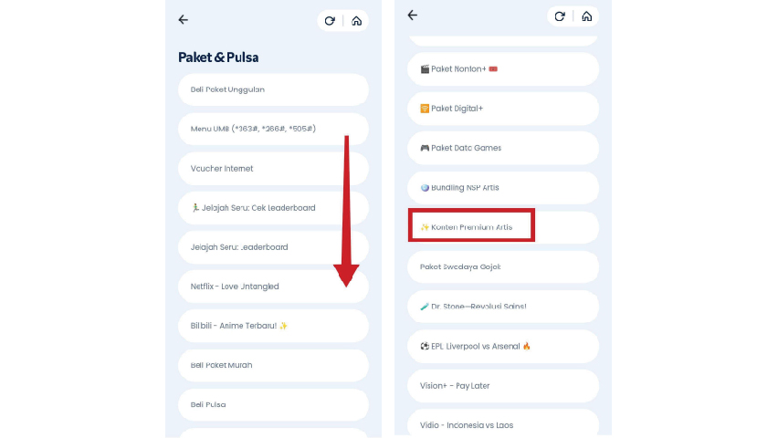 Pilih Konten Premium Artis