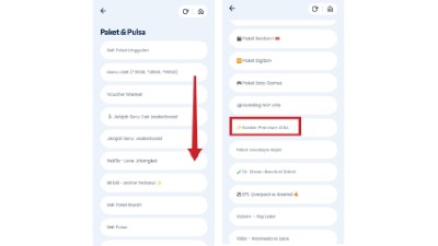 Pilih Konten Premium Artis