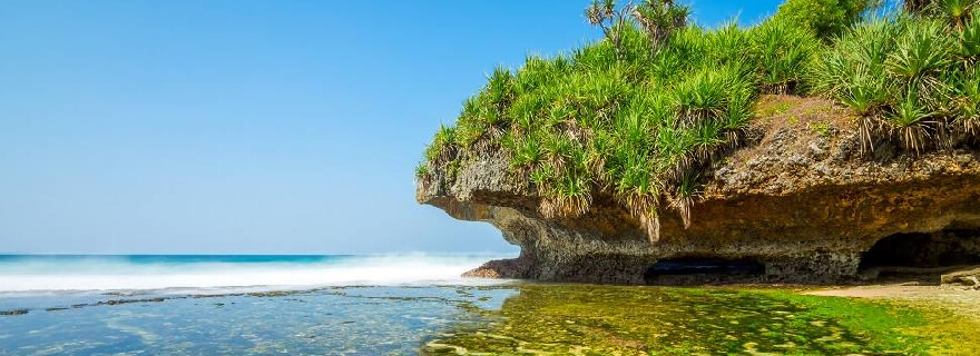 Derawan Island: Underwater Paradise, What's the Trip Cost?