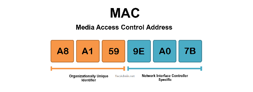 mac address