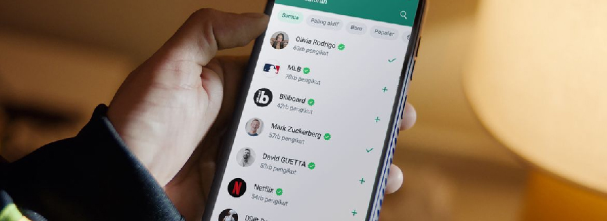 cara coret tulisan di wa