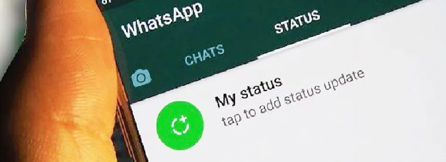 cara sembunyikan status wa