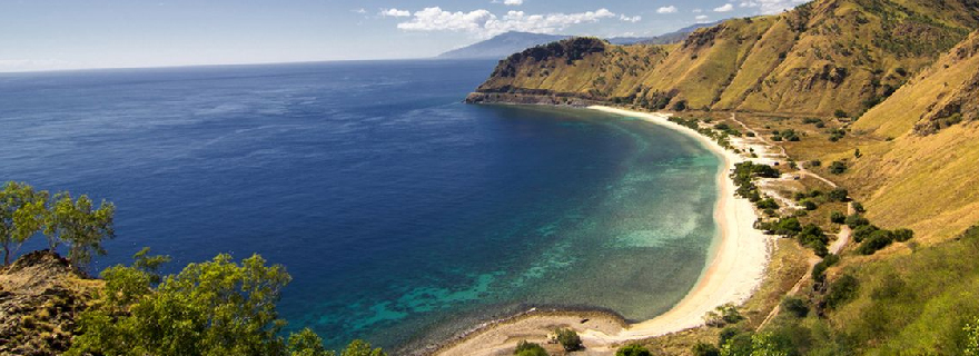pulau timor 