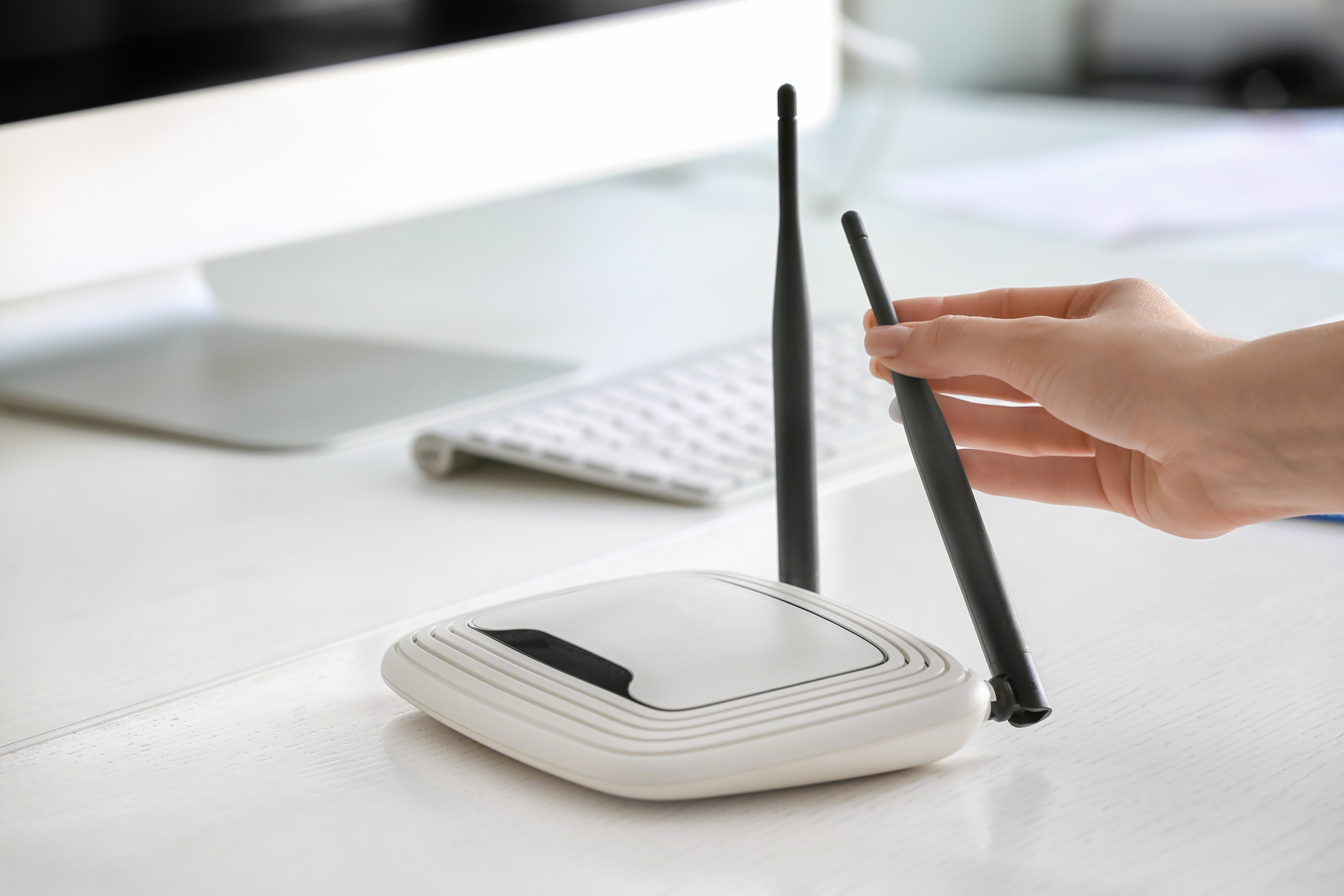 antena wifi