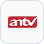 ANTV