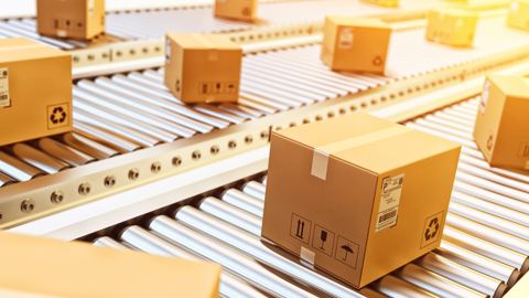 Manufacturing & Agribusiness 