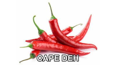 Stiker WA Lucu Jokes Bapak-Bapak #2