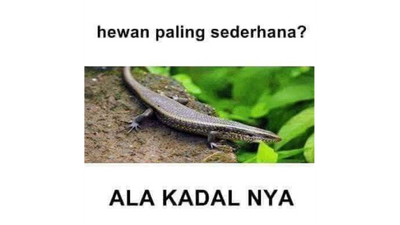 Stiker WA Lucu Jokes Bapak-Bapak #1