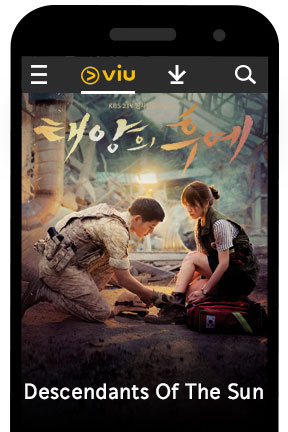 Nonton Descendants of the Sun